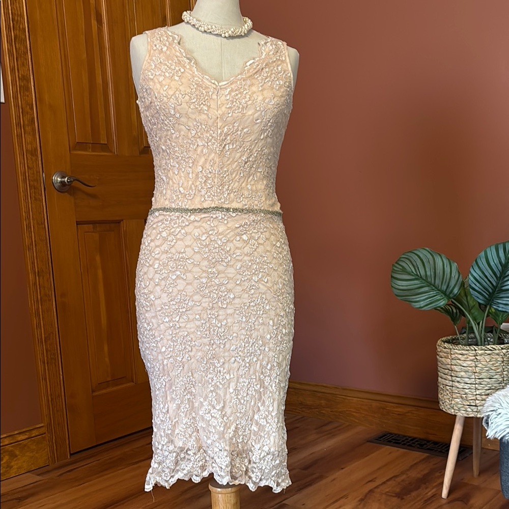 Elegant Lace Sleeveless Dress